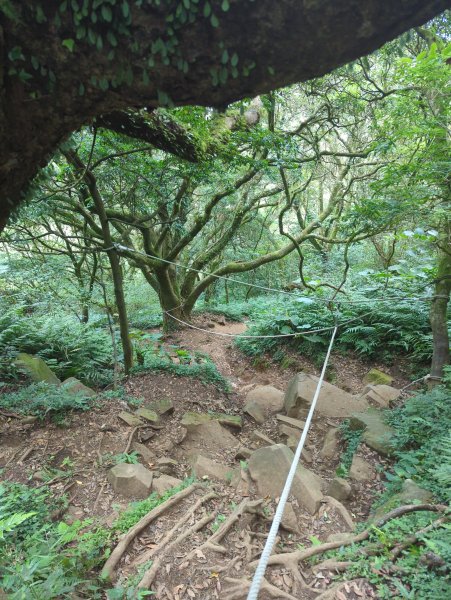 2025.06.28－大屯山連走中正山2823321