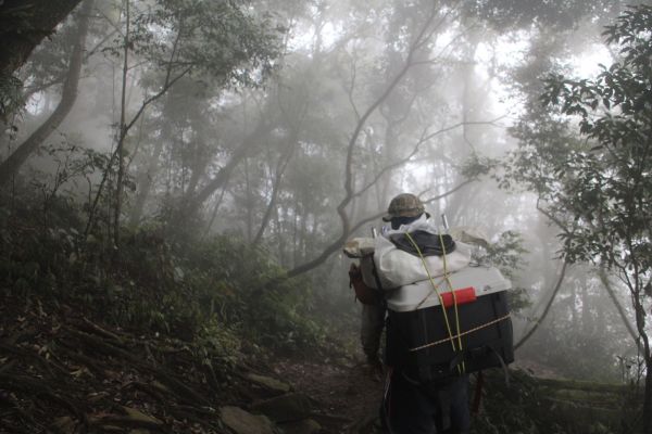 作伙來去北大武304498