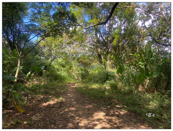 金龍湖、鷹石尖、老鷲尖、內溝山 O型一圈2966597