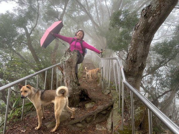 田中森林公園步道、赤水崎公園步道、花牆、龍過脈古蹟2750879