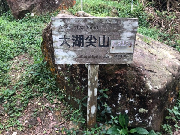 小百岳嘉義大湖尖山1135602