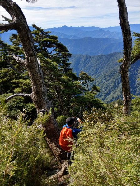 白姑大山 - 2018/8/3827847