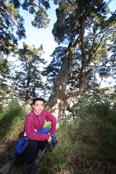 高雄 桃源 台東 海端 庫哈諾辛山 關山嶺山2832178