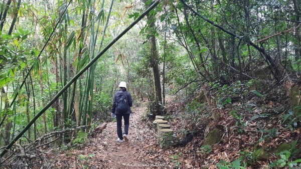 《苗栗》台鐵舊山線｜三義勝興鐵道覓境及挑柴古道O繞202501192693533