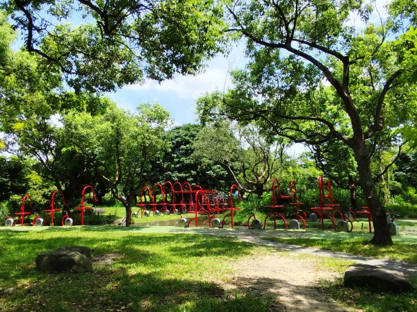 大安森林公園【走路趣尋寶】【臺北健走趣】2551437