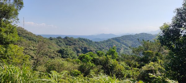 飛鳳山3120019