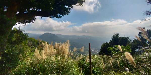 中正山步道509175