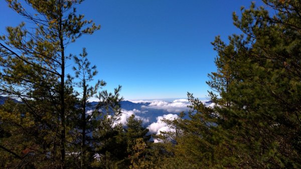 2019/01/06郡大山雲海美景500178