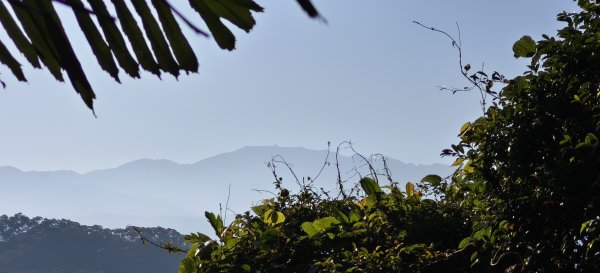 2026/01/10_銅鏡山林步道2980592