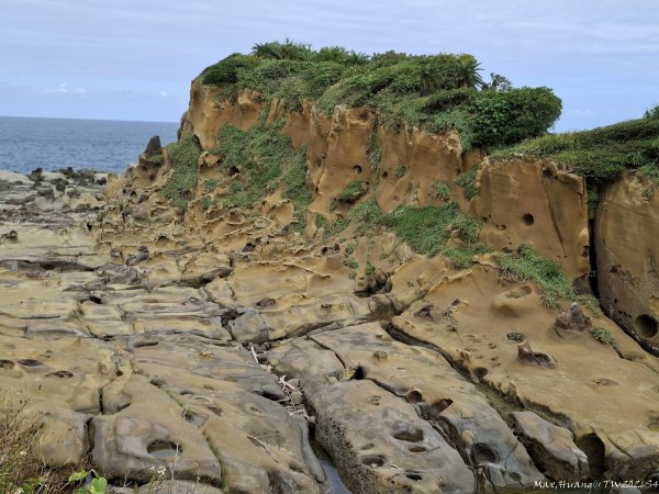 《基隆》奇石黑鳶｜和平島地質公園環山步道O繞202609183121014