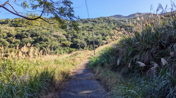 隆隆山腰古厝群,隆隆山,福卯古道2405319