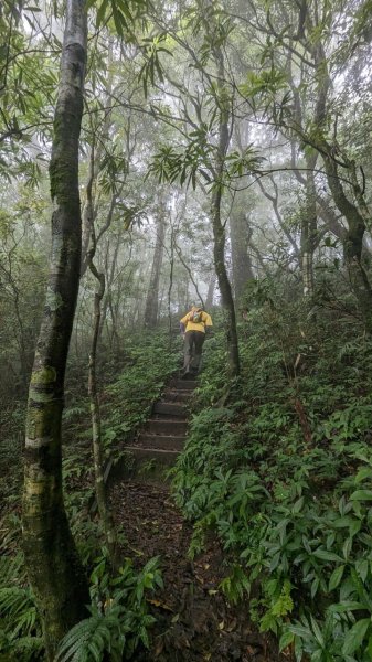 113.06.01魯壁山-東穗山之旅2529866