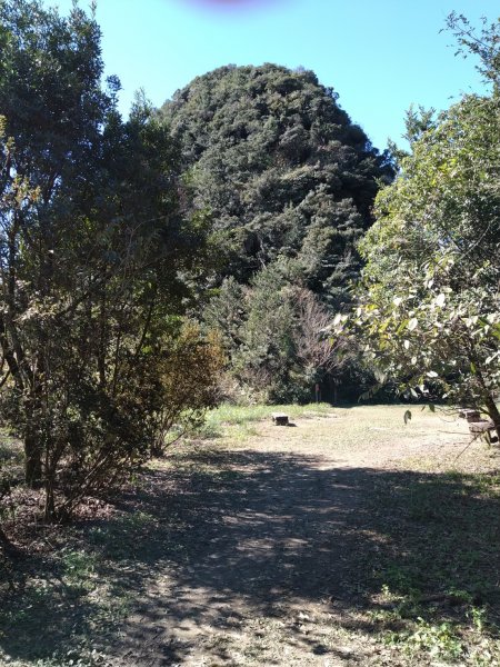 【小百岳20】獅仔頭山完成-141243447