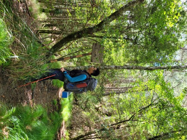 閂山鈴鳴山(百岳第46～47座)順撿茶岩山1447658