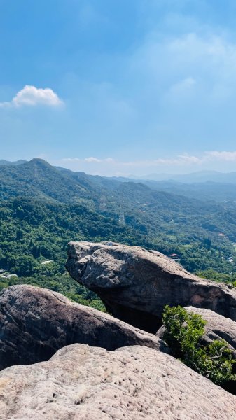 金面山親山步道2867842