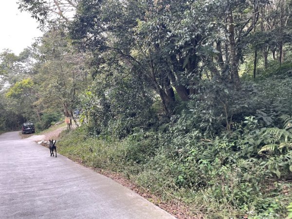 藤枝山&鳴海山2964426