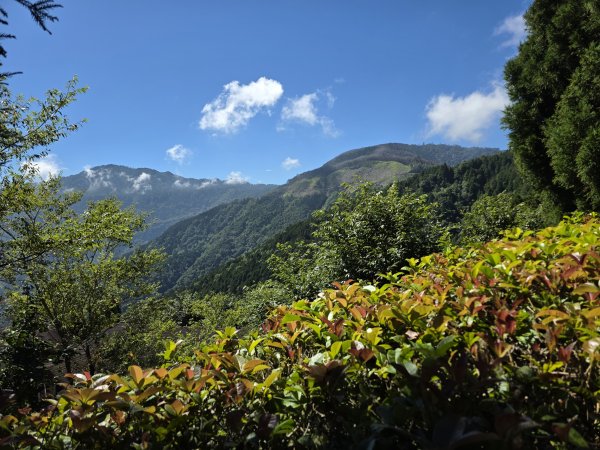 [皮皮獅探險隊-09/10] 2025_0816 野馬瞰山步道2862660