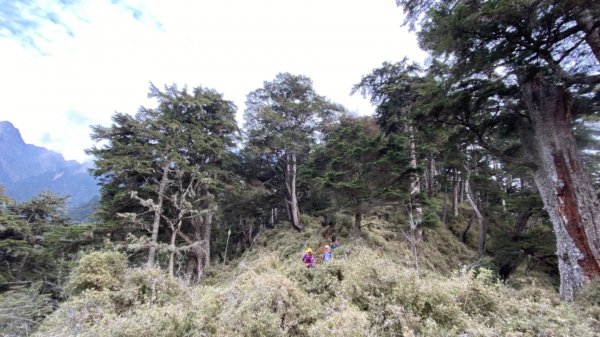 楠梓仙溪上南玉山1373061