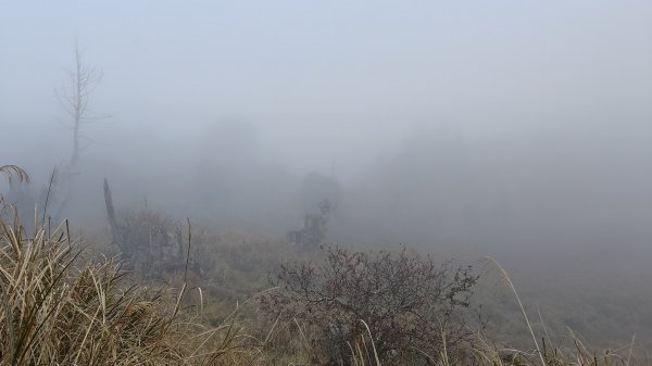 仙女散落的珍珠2723938