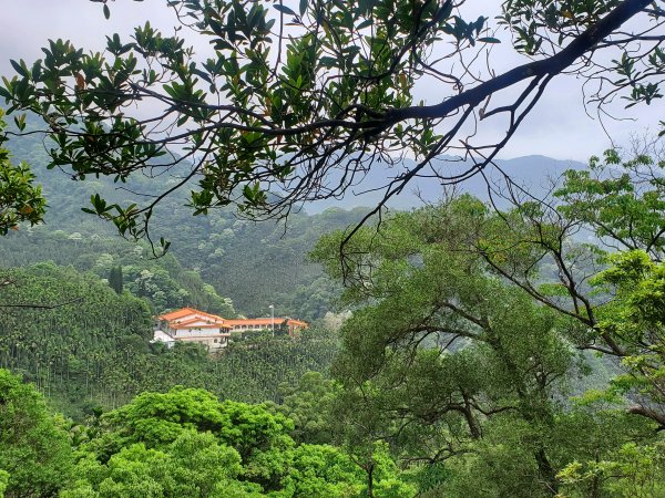 三峽保安宮，麒麟山，竹崙山，鳥嘴尖，大厝坑山O走