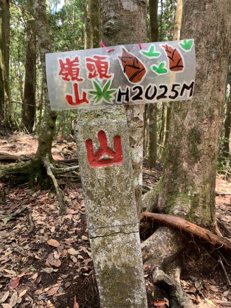 20260501南投嶺頭山-金柑樹山3052895