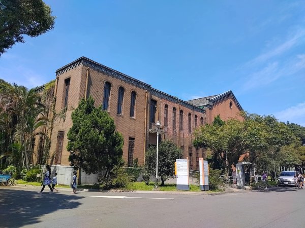 1050327臺大椰林大道3099447