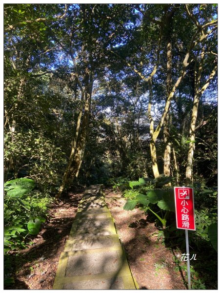 鳳凰谷鳥園步道2695897