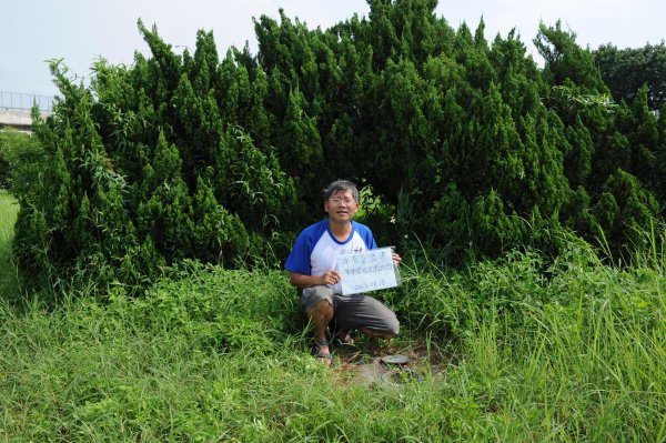 [一等衛星控制點巡禮] 2013_0818_斗南交流道(雲林縣)2169847