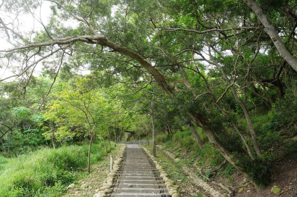 臺中 龍井 竹坑山2767040