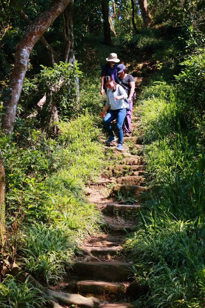 天上山列縱走536809