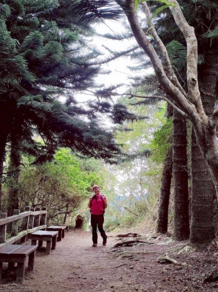 馬那邦山（珠湖登山口）2933935