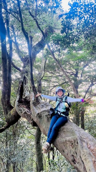 🌈3/15（日）北得拉曼神木+內鳥嘴山✨FB：熊熊趴爬走🌈3016814