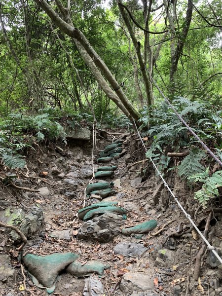 【中級山】明知山沒虎，偏向虎山行2441950