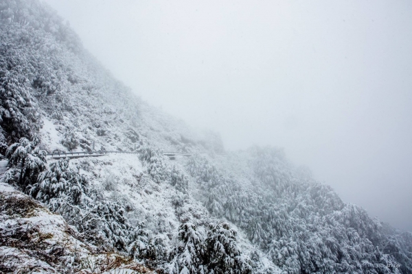 合歡山 雪地健行265850