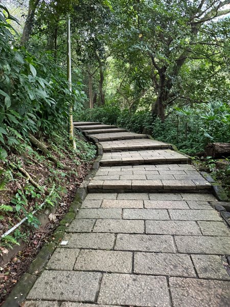 細雨中遠眺101登南港山2043818