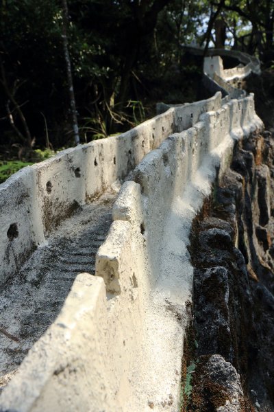 忠勇山。鯉魚山535904