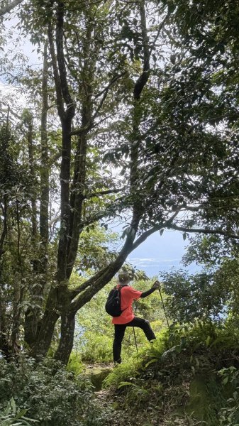 20250824小百岳大橫屏山2871819