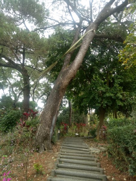 龍過脈步道+小百岳橫山1866996