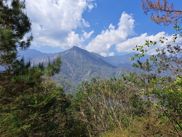 小出山(惠蓀林場上)202304162118352
