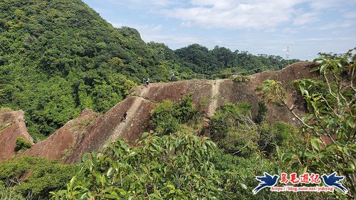 【新北市】三峽五寮尖-峭壁上的精靈