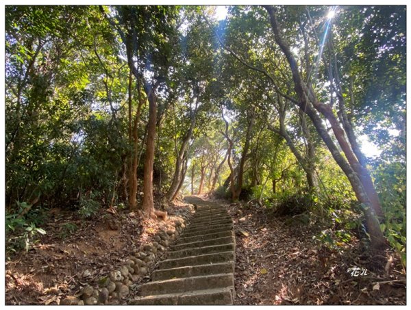 后里 毘盧禪寺步道3003933