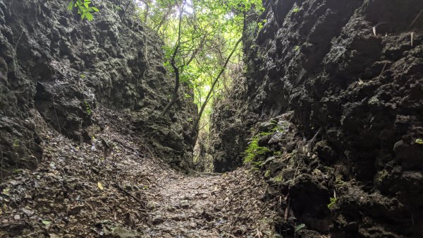 大崗山盤龍峽谷步道1452722