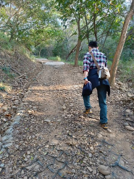 大肚環保公園登山步道(北段)2443512