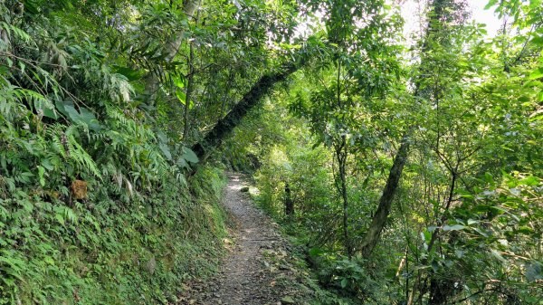 福山部落,內洞森遊區2552409