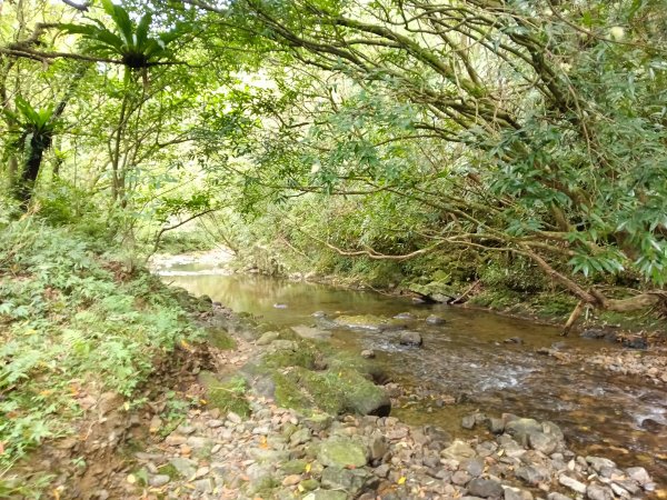 雙溪區打鐵寮山-鶯子嶺-坪溪山-烏山63號-烏山越嶺古道(坪溪山北峰)P字走3023798