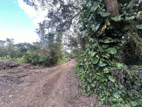 2024_1020 貴子坑親山步道2634242