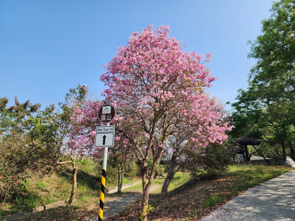 小百岳No.72⛰旗尾山3025179