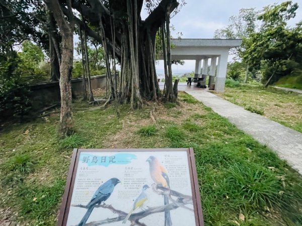 1140405台東鋰魚山步道2754208