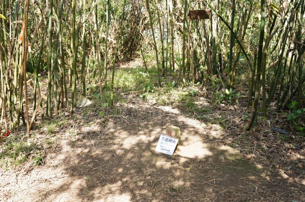 新北 八里 觀音山、牛港稜山2681374