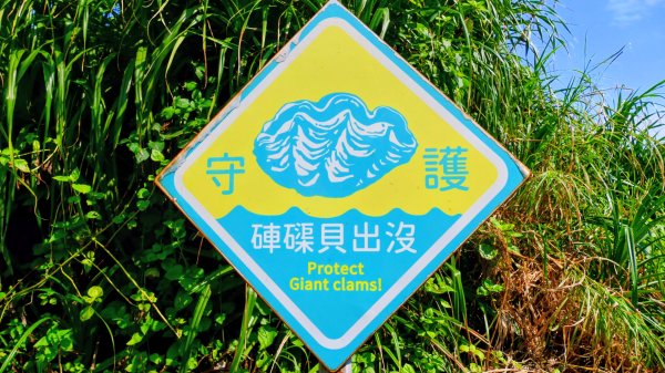 洄瀾東海岸3006666